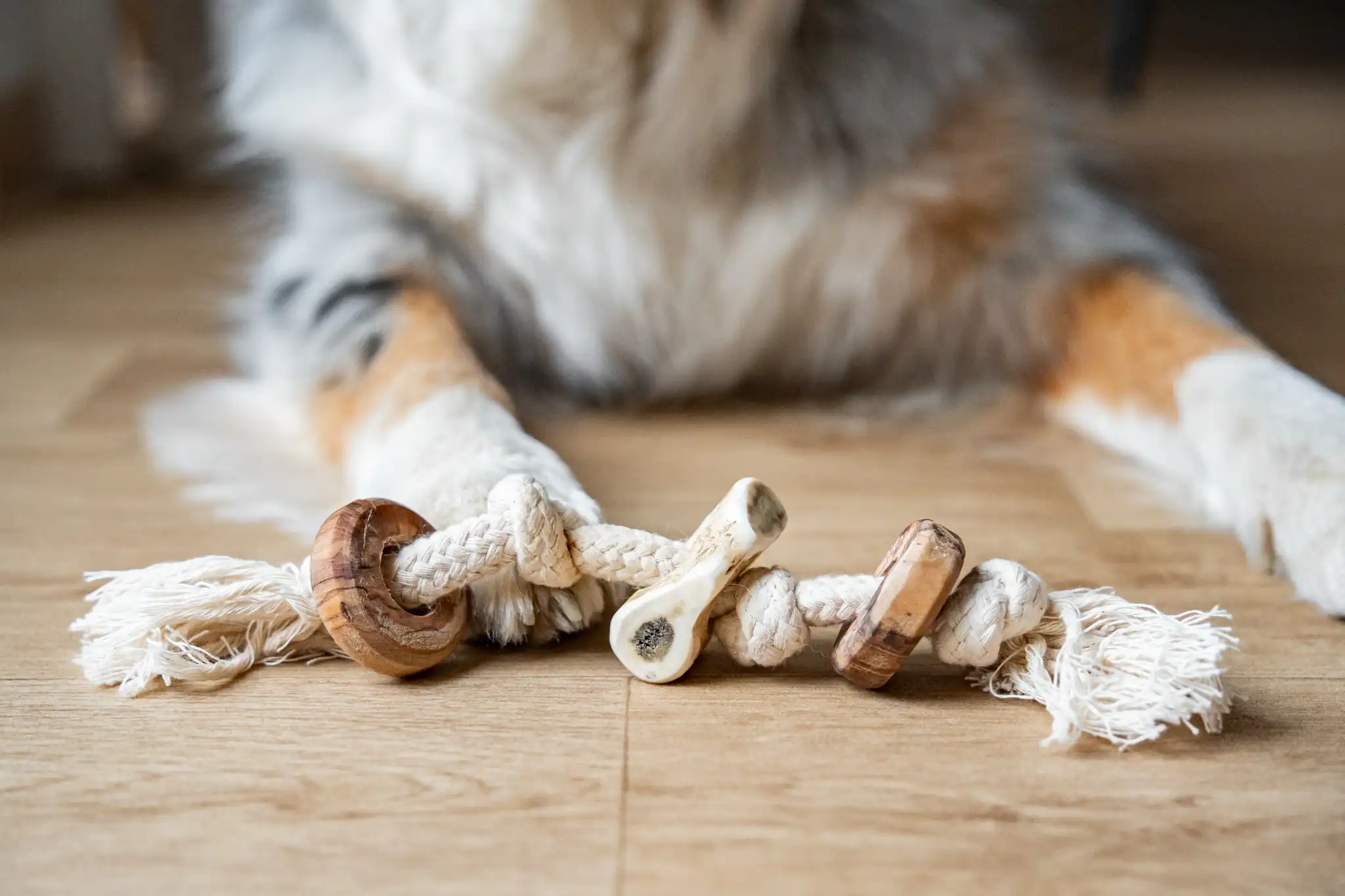 Olivi Geweih-Tau-Spielzeug-Ringe